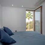 Two Luxury With Private Pools Near Old Town